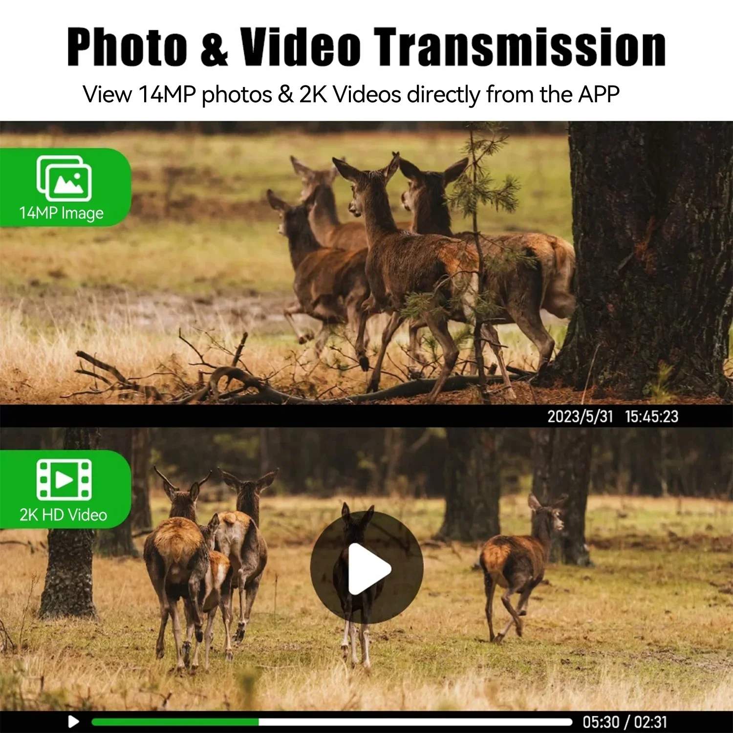 EU 4G LTE Mobiele Simkaart 2K  - Hunting Outdoors Card recensie en prijs