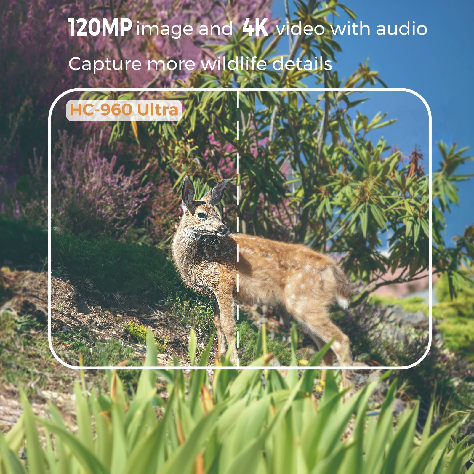 Outdoor 4K Video 120MP Foto 4G - Outdoor Hunting Video Camera recensie en prijs