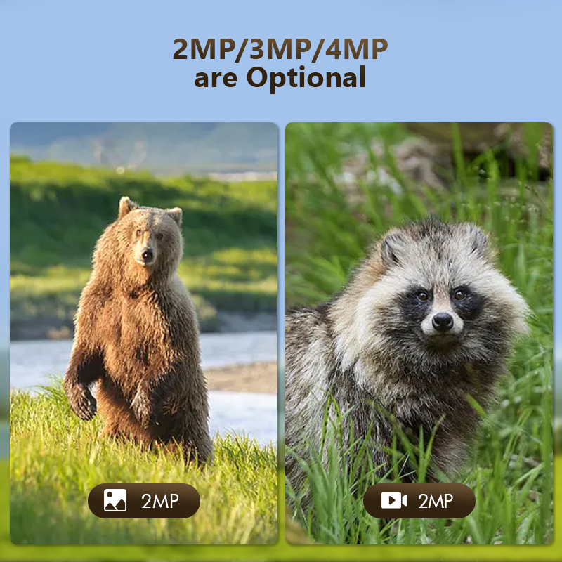 4G 4mp Outdoor Wildlife Jacht  - Outdoor Hunting Camera Wifi recensie en prijs