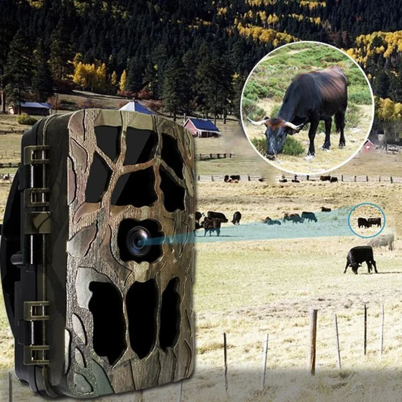 H982 IP66 Waterdichte 4K Outdo - Outdoor Hunting Video Camera recensie en prijs